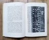 Norman T. Lyon History of the Polish People in Rochester